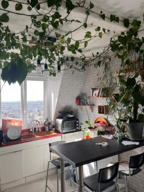 Beau studio à Fontenay sous bois